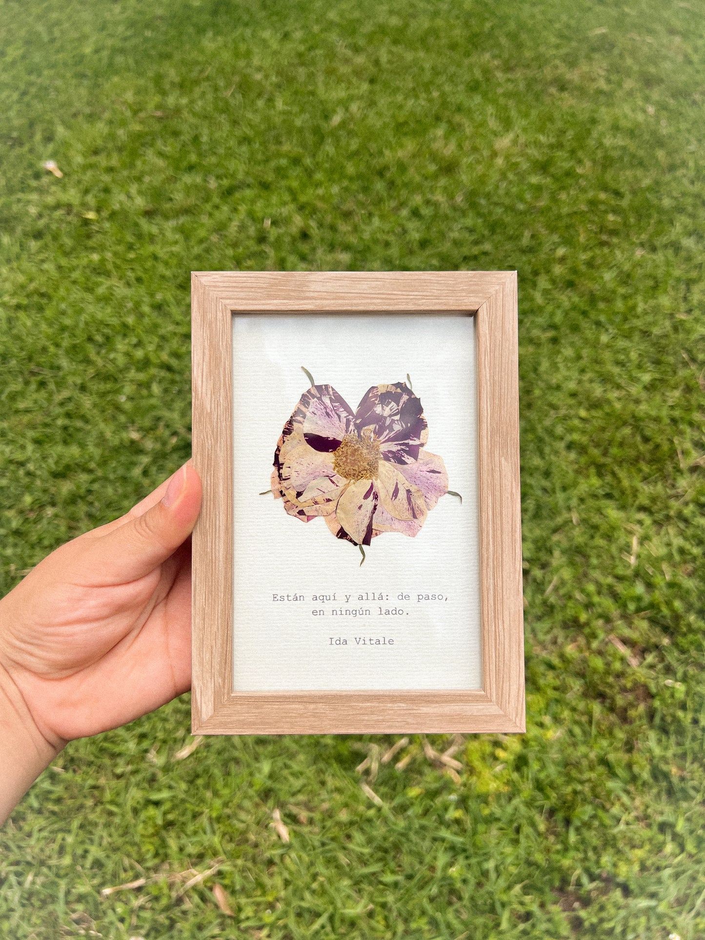Rose- Framed Pressed Flower Art