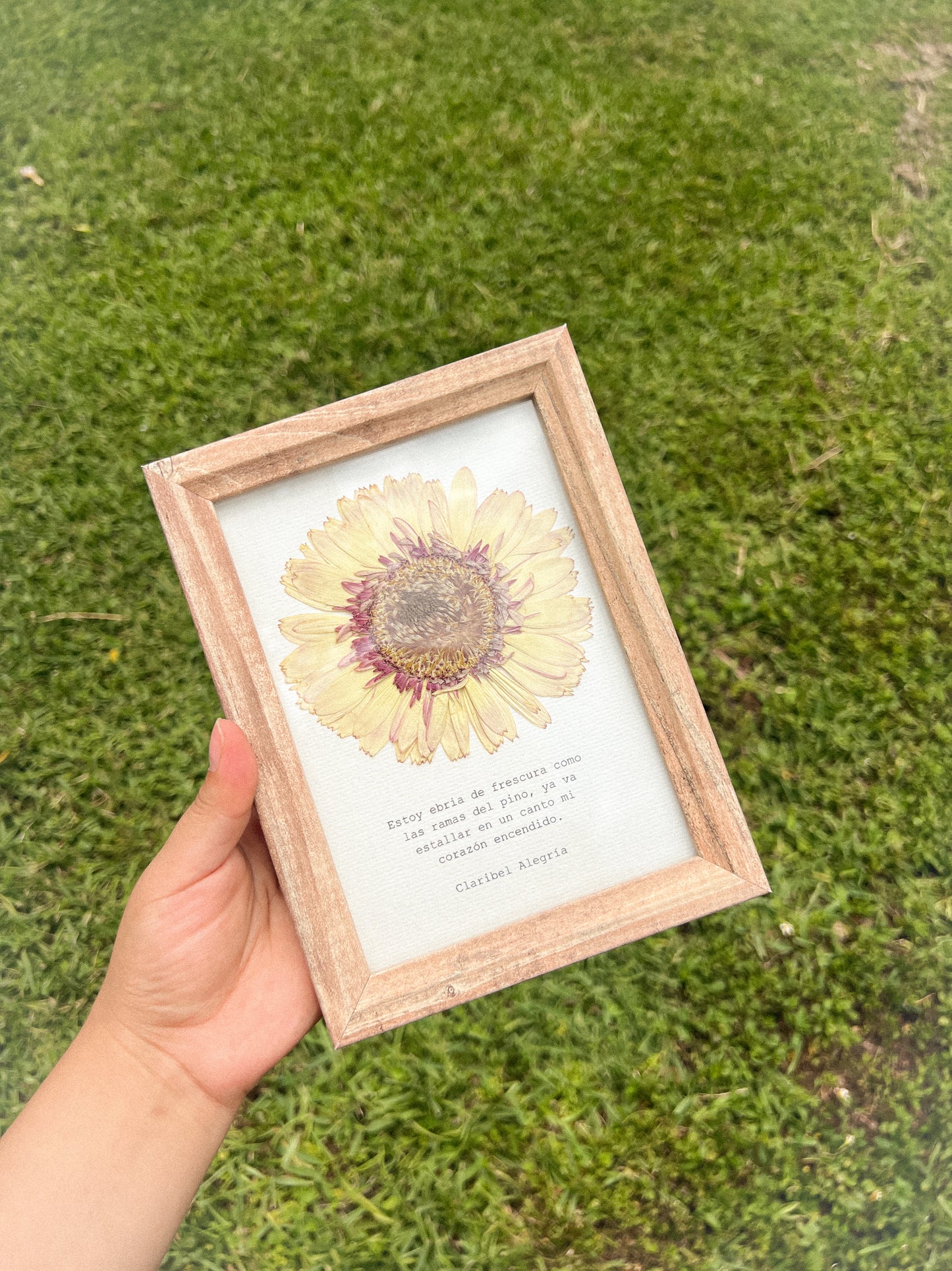 Gerbera Flower -Framed Pressed Flower Art