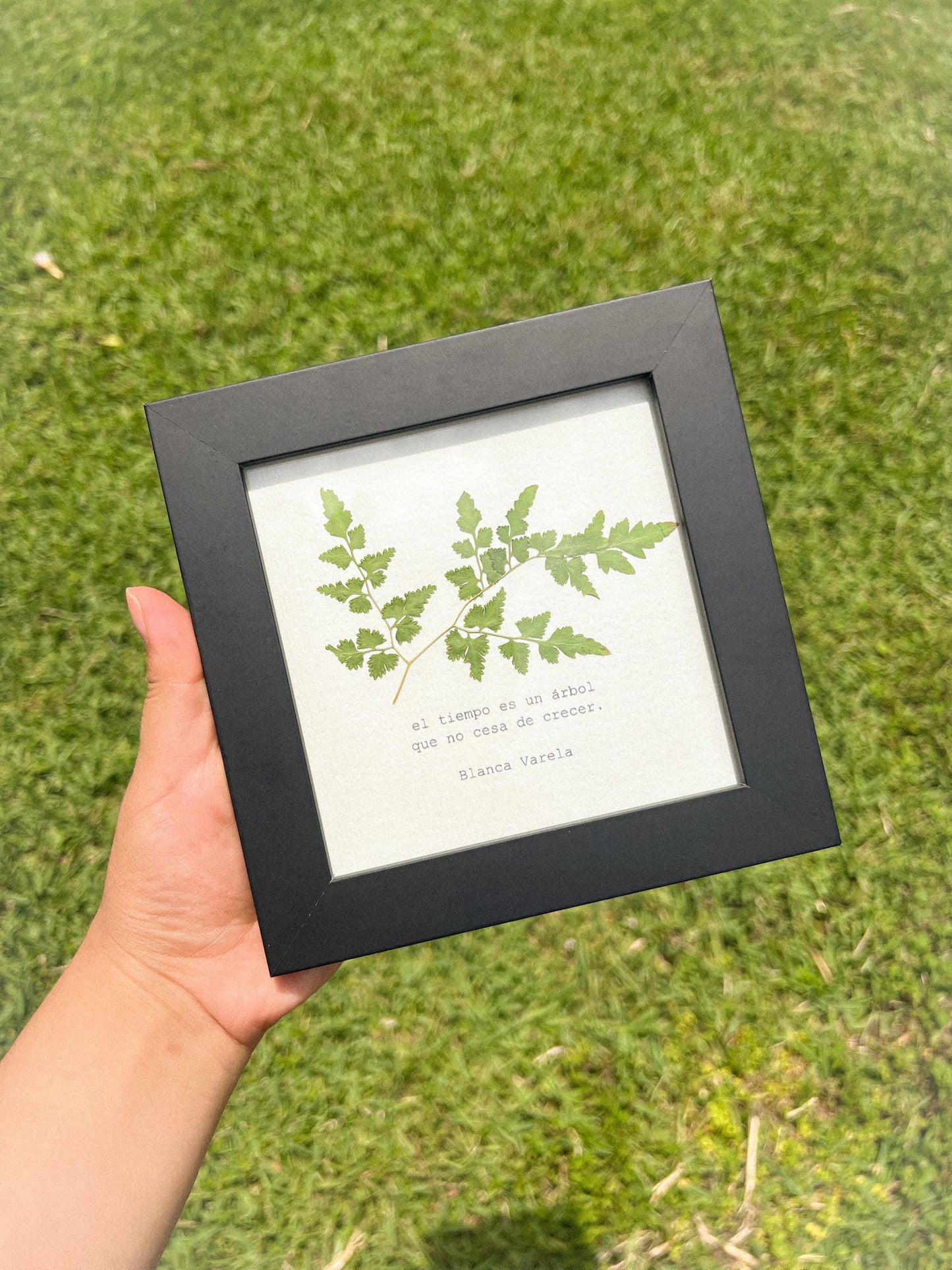 Leatherleaf Fern - Framed Pressed Flower Art