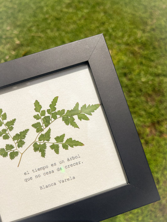 Leatherleaf Fern - Framed Pressed Flower Art