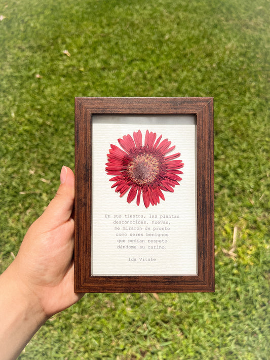 Gerbera Flower - Framed Pressed Flower Art