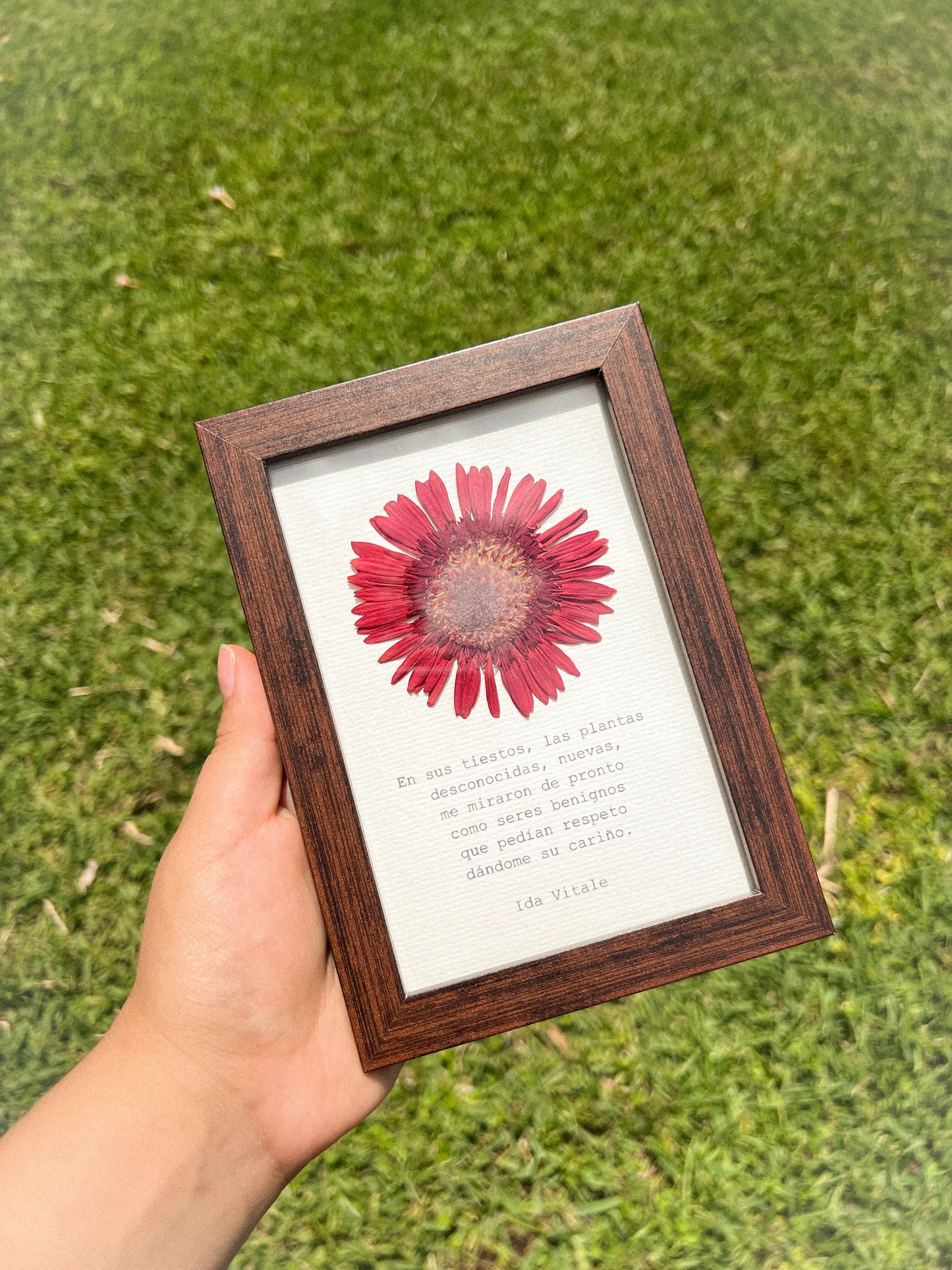 Gerbera Flower - Framed Pressed Flower Art