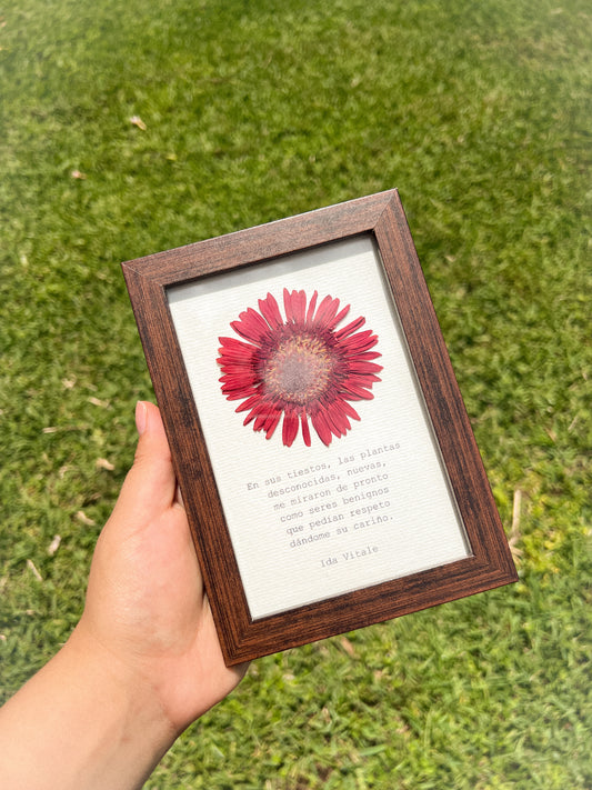 Gerbera Flower - Framed Pressed Flower Art