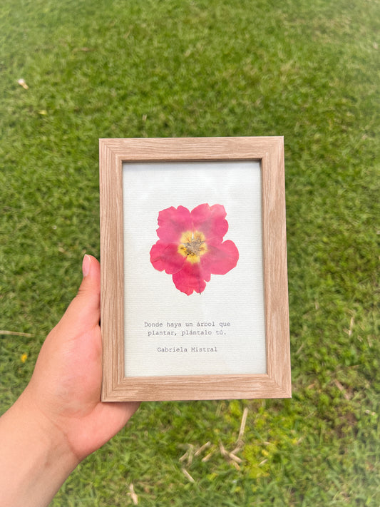 Rose Flower - Framed Pressed Flower Art