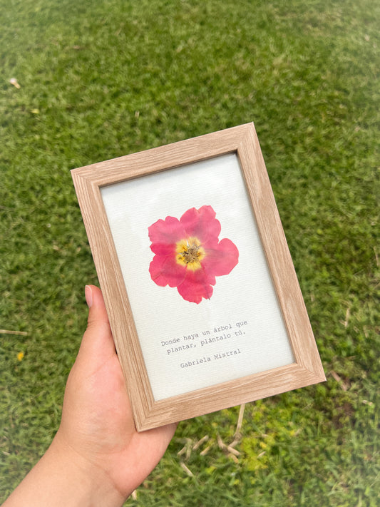 Rose Flower - Framed Pressed Flower Art
