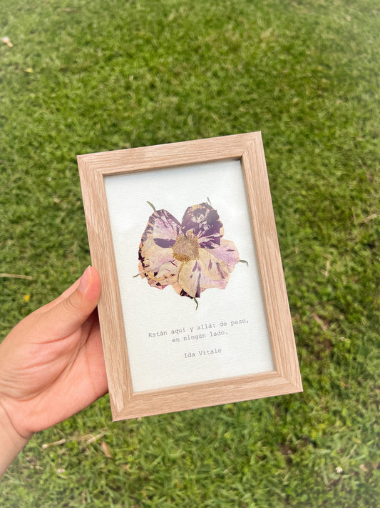 Rose- Framed Pressed Flower Art