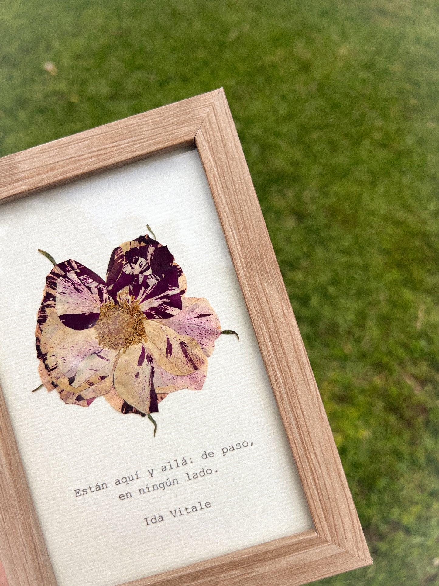 Rose- Framed Pressed Flower Art