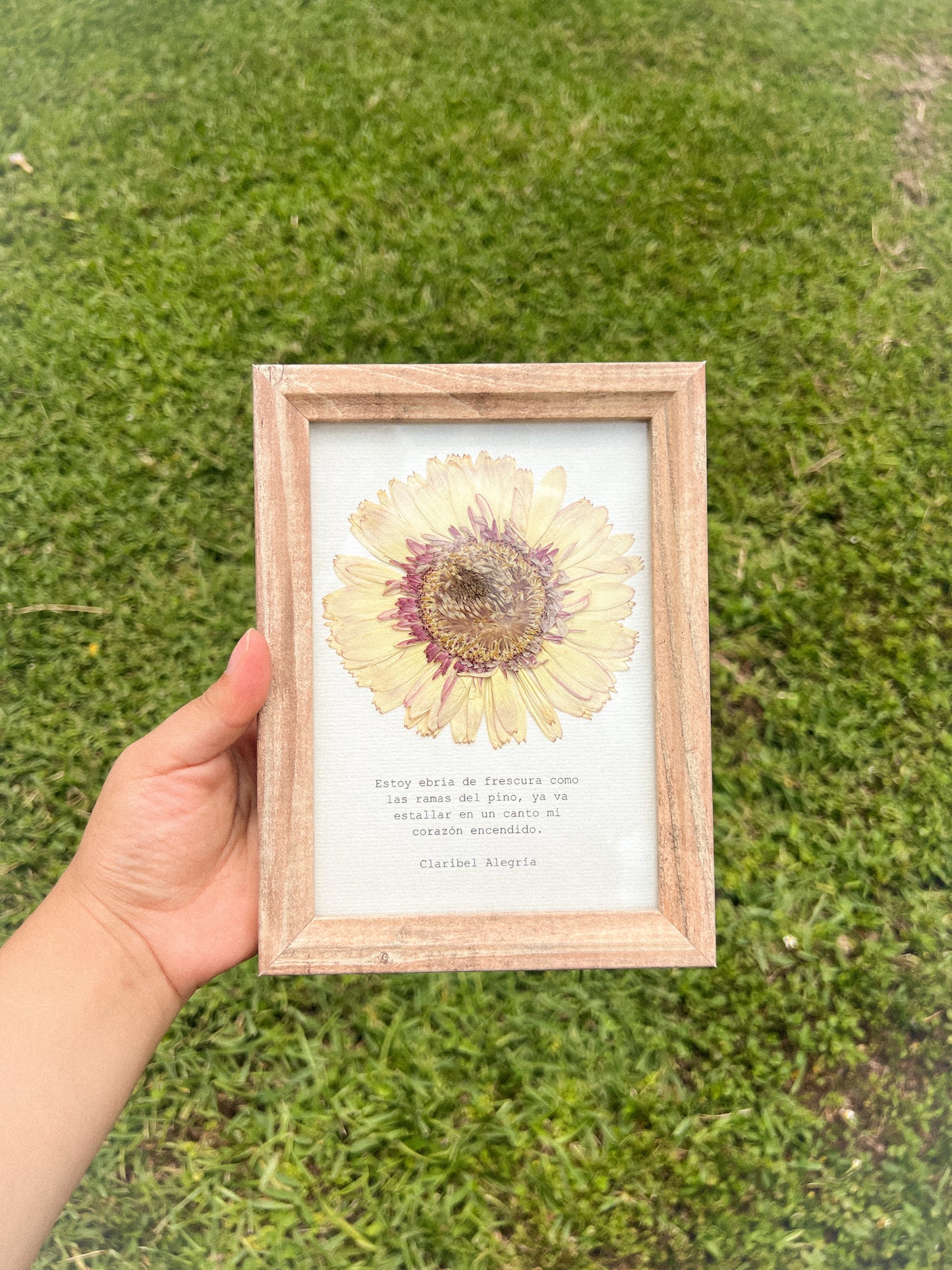Gerbera Flower -Framed Pressed Flower Art