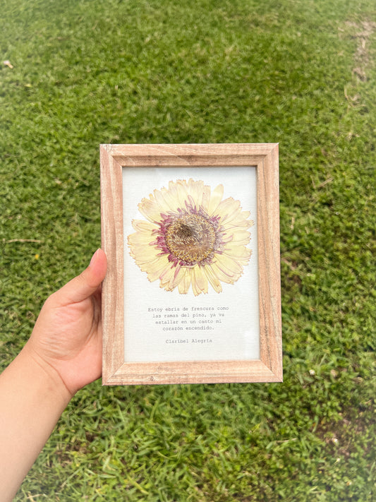 Gerbera Flower -Framed Pressed Flower Art