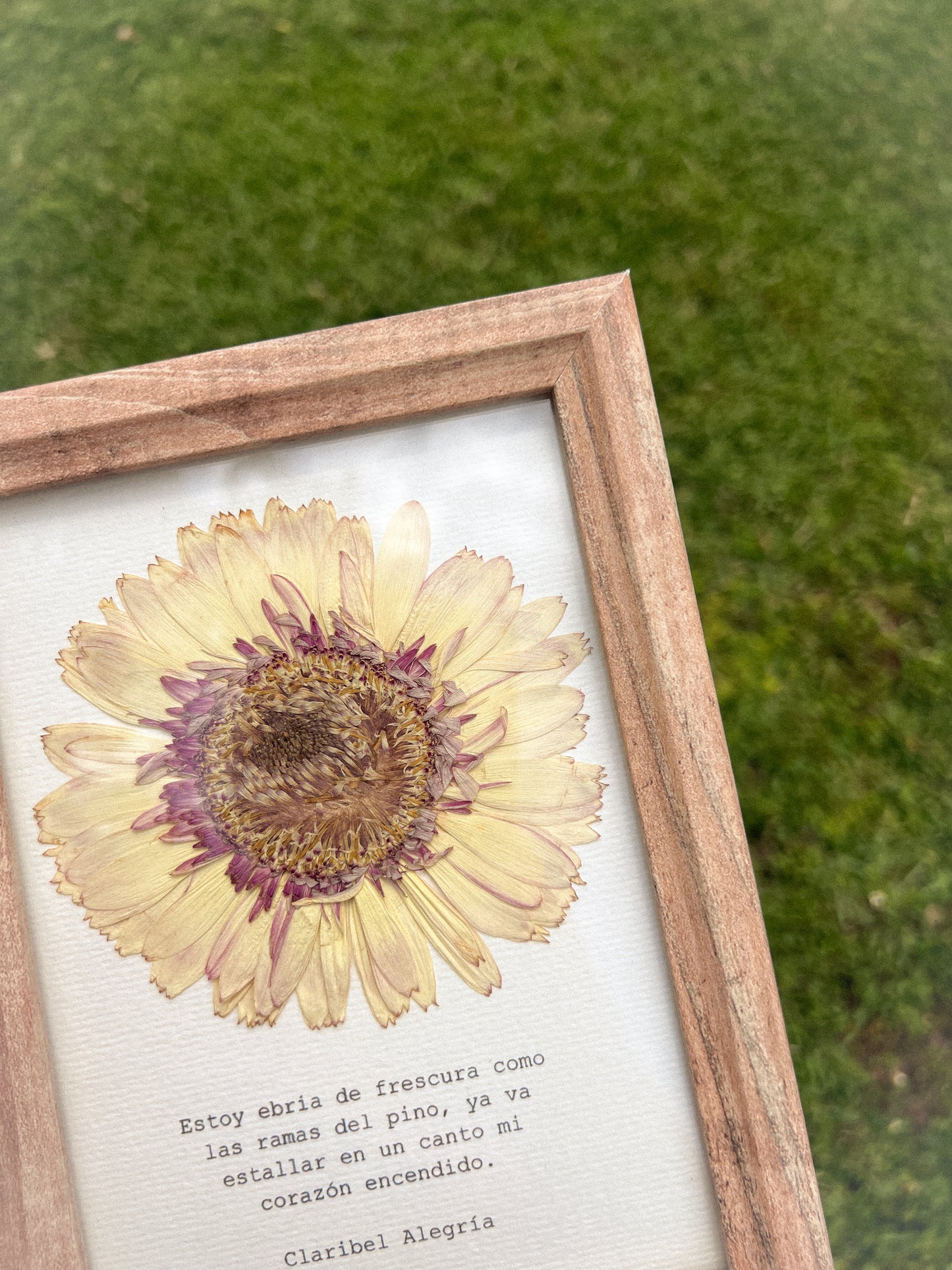Gerbera Flower -Framed Pressed Flower Art
