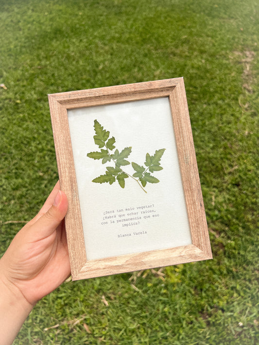 Leatherleaf - Framed Pressed Flower Art