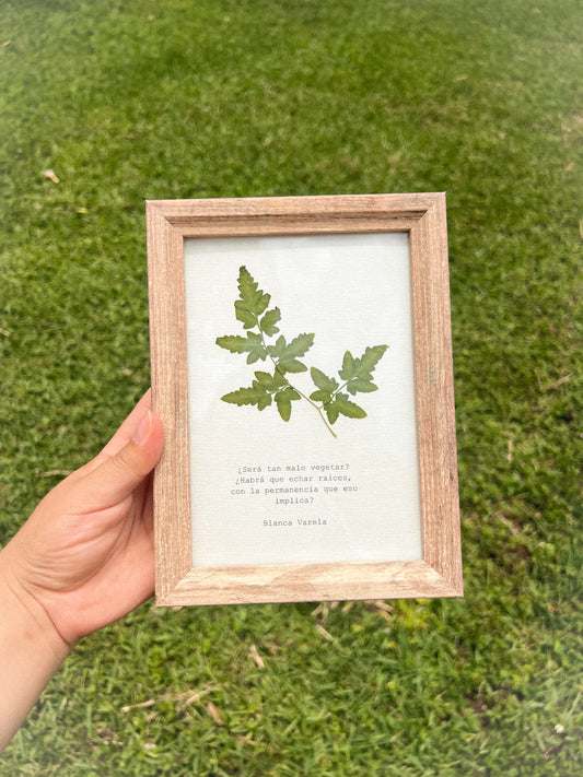 Leatherleaf - Framed Pressed Flower Art