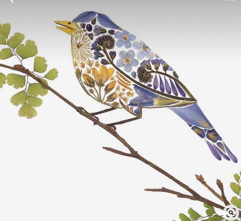 September 15🌷Framed Pressed Flower Workshop | Birds SOLD OUT